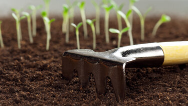 Ερημώνουν κι εγκαταλείπονται μεγάλες εκτάσεις γης - Η περίπτωση της Κρήτης