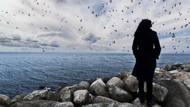 «Γνωσιακή – Συμπεριφορική Ψυχοθεραπεία»