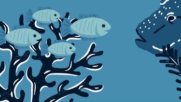 Ολοκληρώθηκε η αξιολόγηση της 2ης Πρόσκλησης του LEADER Ν.ΧΑΝΙΩΝ 