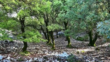 Η επόμενη πεζοπορία των Δρόμων Ζωής