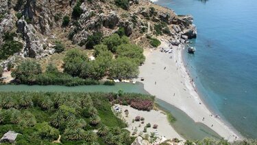 Στο ΥΠΕΝ για τη διαχείριση του Φοινικόδασους στην Πρέβελη