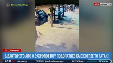 Θεσσαλονίκη: Διδάκτωρ στο ΑΠΘ ο 39χρονος που ποδοπάτησε μέχρι θανάτου το γατάκι