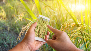 Γεωργαντάς: «Έχει αρχίσει η πίστωση στους λογαριασμούς των αγροτών περίπου 900 εκατ. ευρώ»