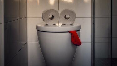 Παγκόσμια Ημέρα Τουαλέτας: Ένας χώρος όπου «αφιερώνουμε» 3 χρόνια από τη ζωή μας!