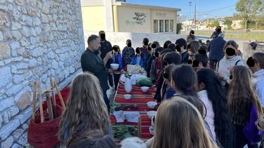 Εκπαιδευτικές επισκέψεις της ΔΕΔΙΣΑ