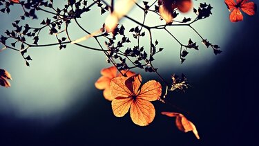 Αίθριος σήμερα ο καιρός στην Κρήτη