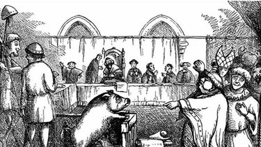 Όταν οι άνθρωποι δίκαζαν τα ζώα - Δείτε βίντεο