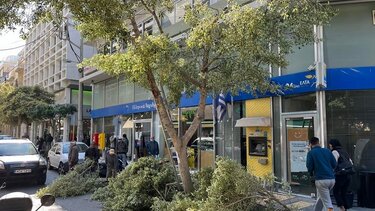 Άρχισε το κλάδεμα των δέντρων