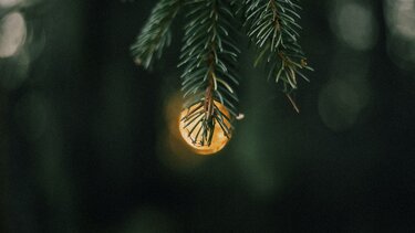 Ηλιόλουστη Πρωτοχρονιά! Ο καιρός τις επόμενες ημέρες