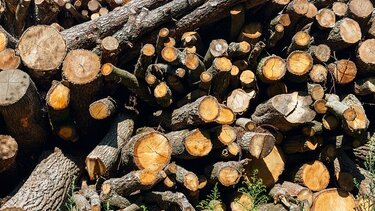 Μεγαλύτερη η ζήτηση φέτος για τα ξύλα παρά τις προειδοποιήσεις των επιστημόνων