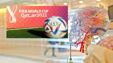 Τι σχέση έχει το Μουντιάλ με την Ανατομία; Οι φοιτητές του Πανεπιστημίου Κρήτης απαντούν!