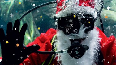 Χριστούγεννα στο Ενυδρείο Κρήτης 