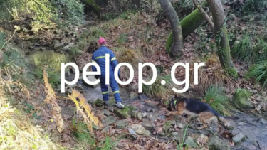 Χωρίς τις αισθήσεις του εντοπίστηκε ο 59χρονος αγνοούμενος στις Βελιτσές