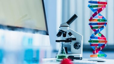 Μετακινήσεις πληθυσμών 10.000 χρόνια πριν: τι ανακάλυψαν επιστήμονες από την Κρήτη!