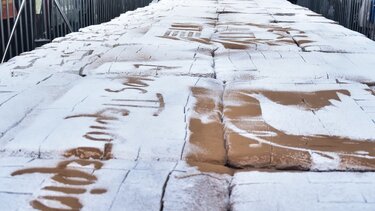 Βασιλόπιτα για Γκίνες και φέτος στο Περιστέρι