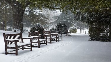 Αρναούτογλου: Πού θα ρίξει χιόνι φέτος τα Χριστούγεννα 