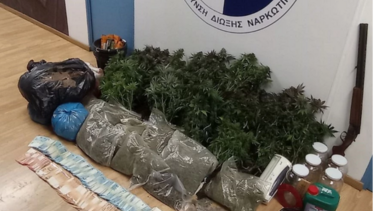  Εξαρθρώθηκε εγκληματική οργάνωση που καλλιεργούσε και διακινούσε κάνναβη στην ευρύτερη περιοχή της Αττικής 