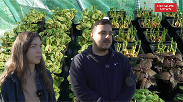 Microgreens: Η ιδέα από την Αθήνα που "ρίζωσε" στην Κρήτη