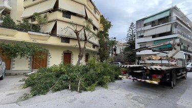 Παρελθόν ο φίκος στη Σκουλά και Στυλιανού