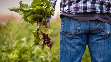 Οι επιλαχόντες νέοι αγρότες καταγγέλλουν εμπαιγμό