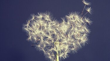 Αύξηση στους θανάτους, μείωση στις γεννήσεις στα Χανιά για το 2022