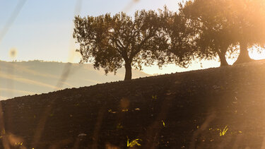 Η τραγική ιστορία πίσω από το απανθρακωμένο πτώμα στη Φθιώτιδα