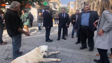 Ο σκύλος και η απορία του υπουργού