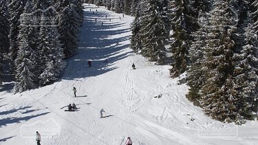 Χωρίς χιόνι η Ευρώπη - Στροφή τουριστών στη Βουλγαρία 