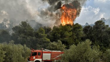 Δεκάδες στρέμματα έγιναν στάχτη στην περιοχή της Μενδενίτσας