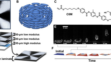  Δημιουργήθηκε στις ΗΠΑ ένα νέο υλικό που...πηδάει σαν ακρίδα!