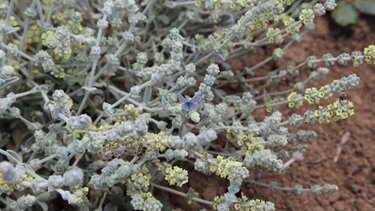 Επίσημη παρουσίαση για το βιβλίο της Μαρίας Πιτσικάκη