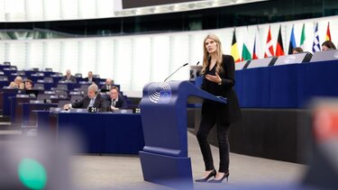 Λείπουν εκατομμύρια- Τι λέει το ένταλμα σύλληψης της Εύας Καϊλή