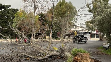 Οι άνεμοι ξερίζωσαν δέντρο στο πάρκινγκ στην Κνωσό