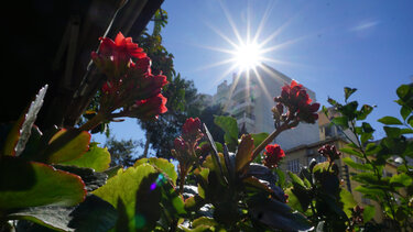 Άγγιξε τους 22 βαθμούς Κελσίου η θερμοκρασία στη Θεσσαλία