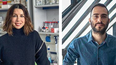 Ερευνητές από τα ιδρύματα της Κρήτης, στην ελίτ της Ευρώπης