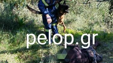 Αχαΐα: Παραπάτησε και εξαφανίστηκε!