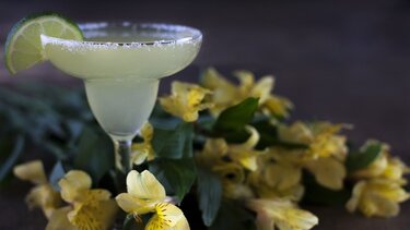 H κλιματική κρίση απειλεί τη… "μαργαρίτα"