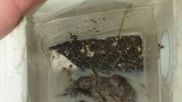 Γάλα με… απροσδιόριστο περιεχόμενο μοιράζεται στα παιδιά μας!