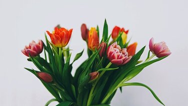 Εορτολόγιο: Ποιοι γιορτάζουν σήμερα 31 Μαρτίου