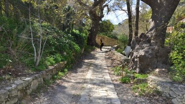 Εθελοντές καθαρίζουν το φαράγγι της Σπηλιώτισσας