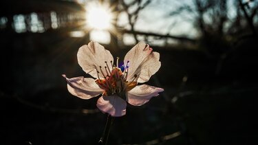 Ξεπέρασε τους 25°C η θερμοκρασία σήμερα!