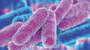 Νόσος των Λεγεωνάριων: 11 νεκροί στην Πολωνία