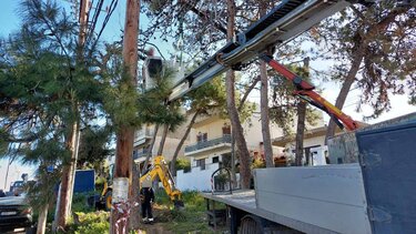 Ξεκίνησαν οι κοπές δέντρων στα Δειλινά