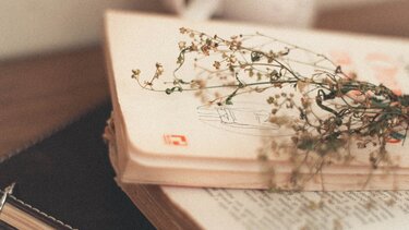 "Ακίνητη σιωπή": Νέα ποιητική συλλογή από τον Ανδρέα Γεωργαλλίδη