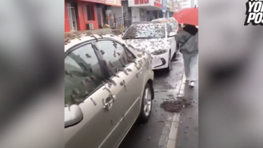 «Βροχή σκουληκιών» στο Πεκίνο