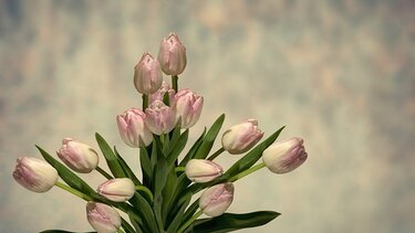  Εορτολόγιο: Ποιοι γιορτάζουν σήμερα 13 Μαρτίου 