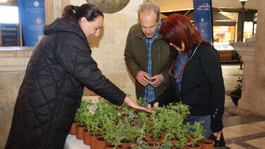 Εμβληματικά σημεία του Ηρακλείου αλλάζουν μορφή, πρασινίζοντας την πόλη