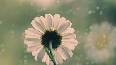 Νεφώσεις και πιθανές βροχές στα ορεινά της Κρήτης την Πέμπτη