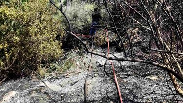 Πρόστιμο και δικογραφία για πυρκαγιά στον Προφήτη Ηλία