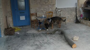 Δε σταματάνε να βρίσκουν φόλες